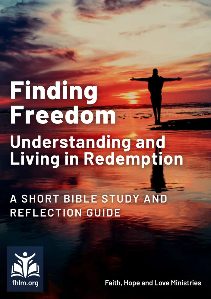Cover of Finding Freedom: Understanding and Living in Redemption