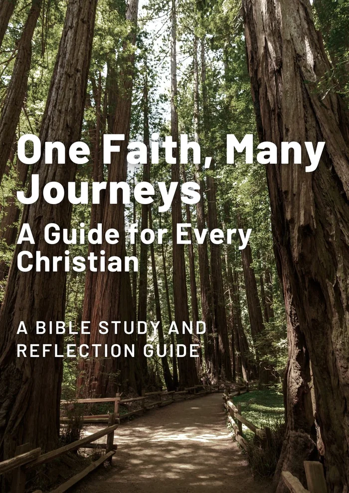 Cover of One Faith, Many Journeys: A Guide for Every Christian