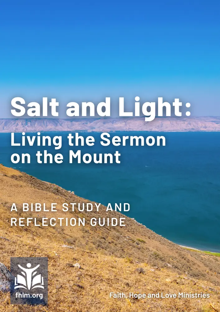 Cover of Salt and Light: Living the Sermon on the Mount