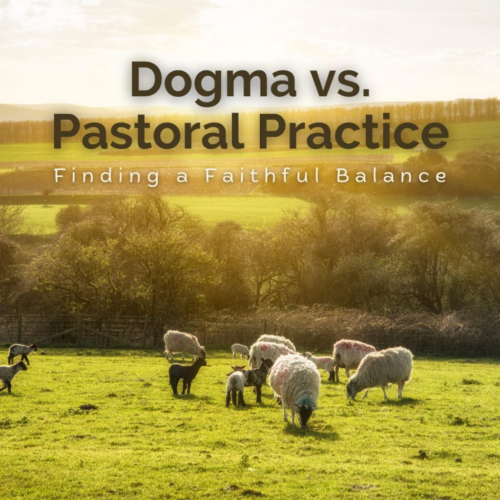 A flock of sheep grazing peacefully in golden light, symbolising the pastoral role of church leaders and the balance between dogma and pastoral practice.