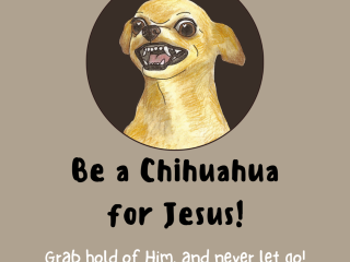Be a chihuahua for jesus