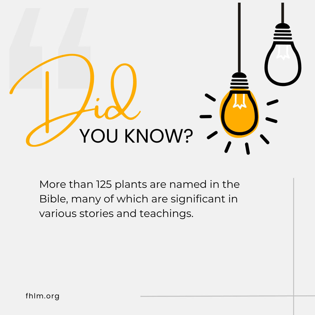 Did you know 11