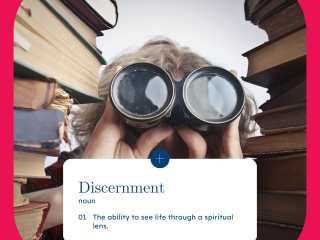 Discernment