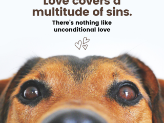 Love covers a multitude of sins