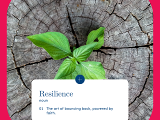 Resilience