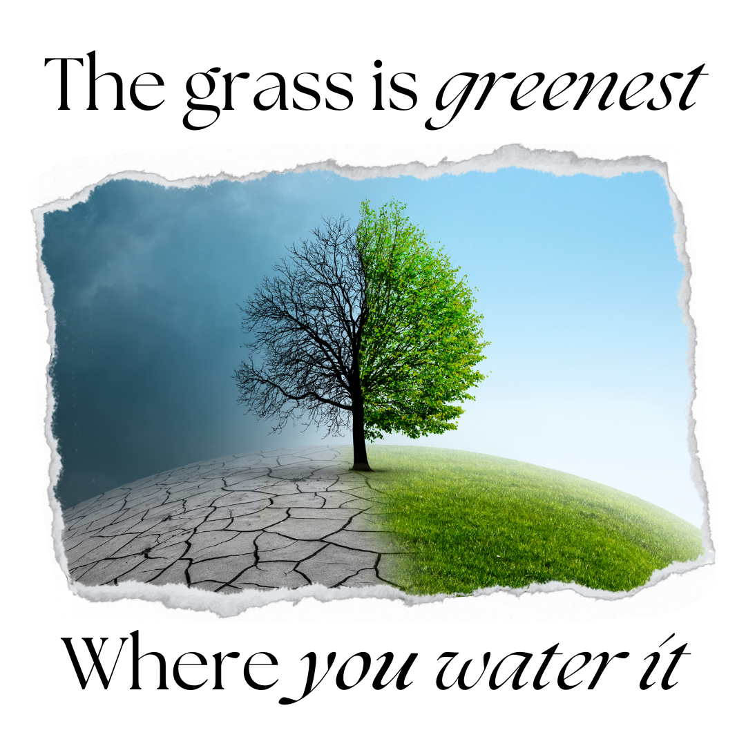 The grass is greenest where you water it