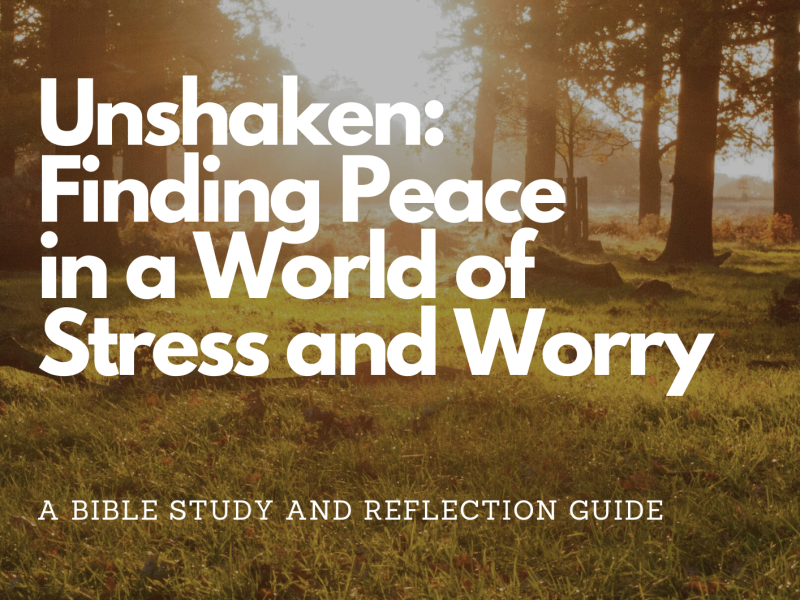 Bible Study Guide: Unshaken