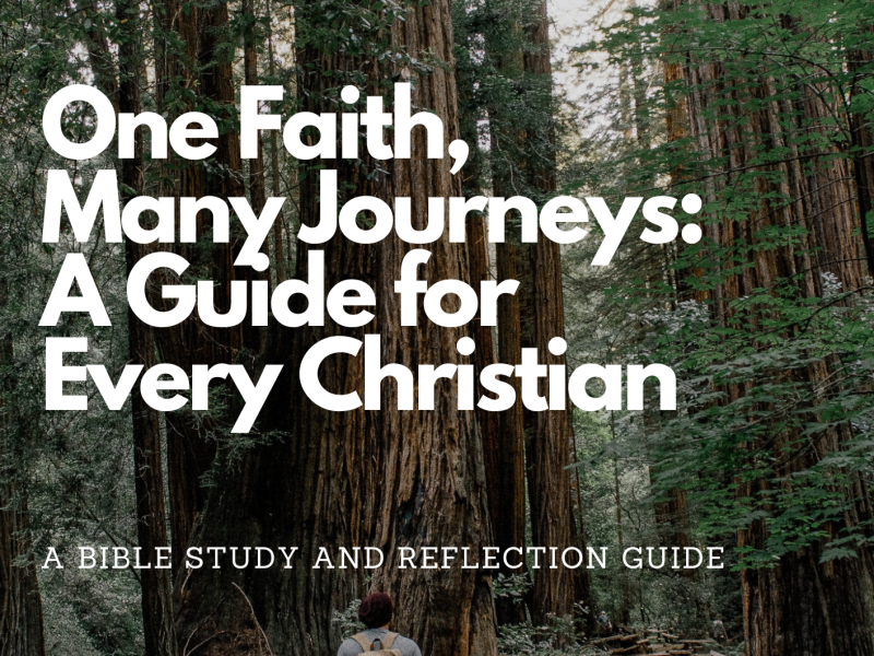 One Faith, Many Journeys: A Guide For Every Christian - A Comprehensive ...
